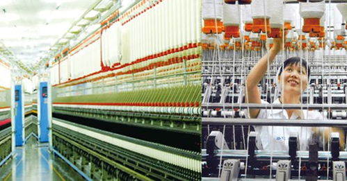 中糧帝國(guó) 網(wǎng)絡(luò)技術(shù)服務(wù)與數(shù)字化轉(zhuǎn)型之路